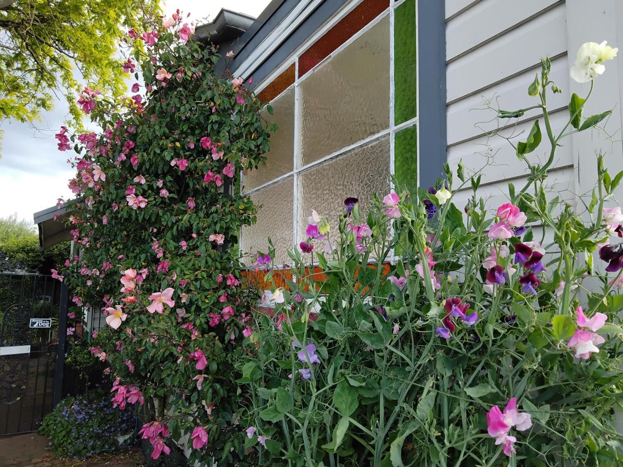 Guthrie Cottage Havelock North Bagian luar foto